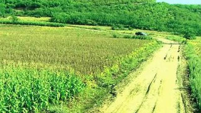 下载《西瓜视频》，免费观看精彩后续/精彩海量免费短剧免费看！ #因为一个片段看了整部剧