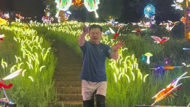 蝴蝶飞呀 满山蝴蝶&昆虫、童话世界#蝴蝶 #音乐 #随拍 #旅行推荐官 #杭州