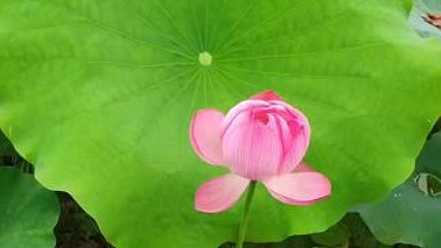 我发布了一个新视频，快来围观吧！