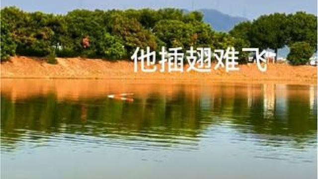 夏日钓鱼技术大赏~