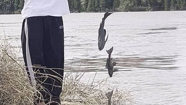 今天拿下河冠，清道夫四连我也是服了