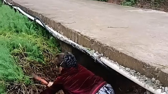 好人一生平安。