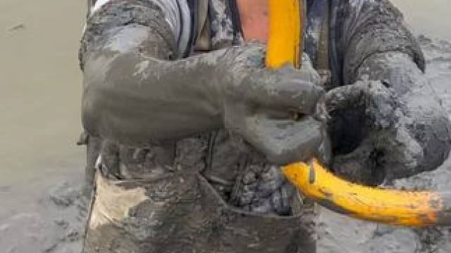 发现一个黄鳝洞扣进去，没想到结局太意外了！你们说说这条有多大 #我的乡村生活 #户外 #农村生活 #