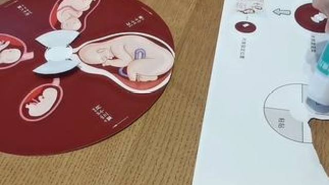 暑假手工—我们从哪里来？ #硬核带娃攻略 #儿童手工 #专注力 #亲子手工 #艺术启蒙 #暑假生活