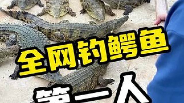 全网钓鳄鱼第一人#鳄鱼 #鳄珍 #鳄鱼养殖场 #鳄鱼皮带