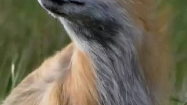 爱是岁月，爱是传承。#小小的太阳 #你是我生命里的一束光 #爱的力量 #感恩父母 #最爱的人