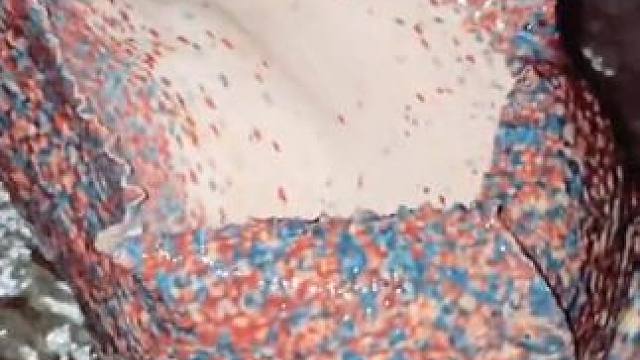 赶海收获一只大涡螺 #国外视频分享 #海洋生物 #赶海