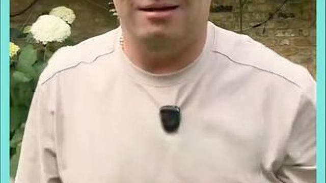 为什么说144小时的免签是一场阳谋#海豹油#伦敦kj#海外生活#丹维斯