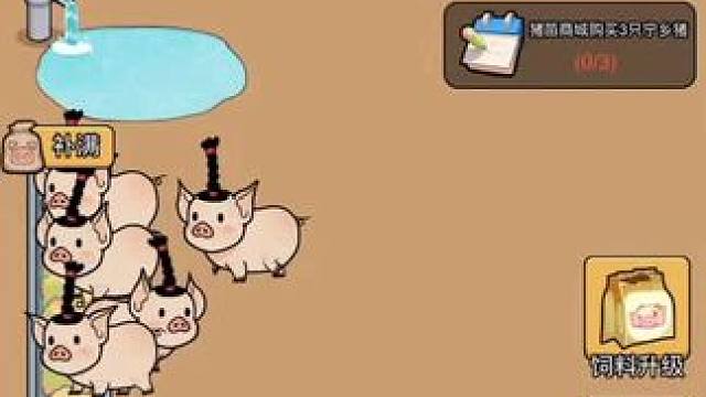 #真让人头大 #别耽误我养猪 要想富，多样猪，我发财啦