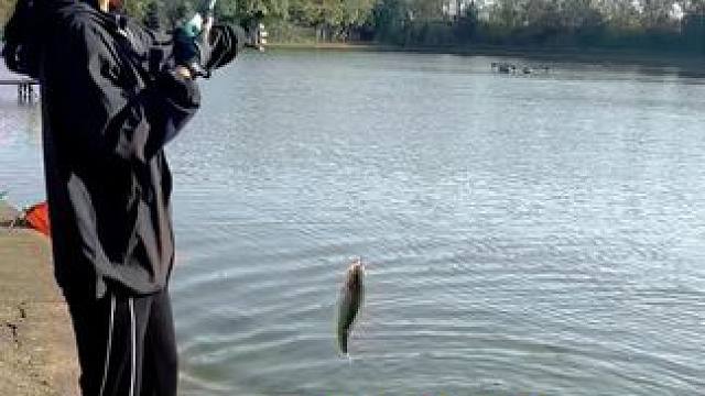 用什么饵感觉都不如一个亮片省事又好用 #路亚 #渔具用品 #疯狂的路亚佬