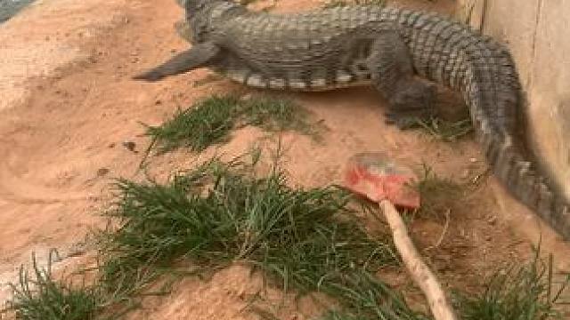 我发布了一个新视频，快来围观吧！