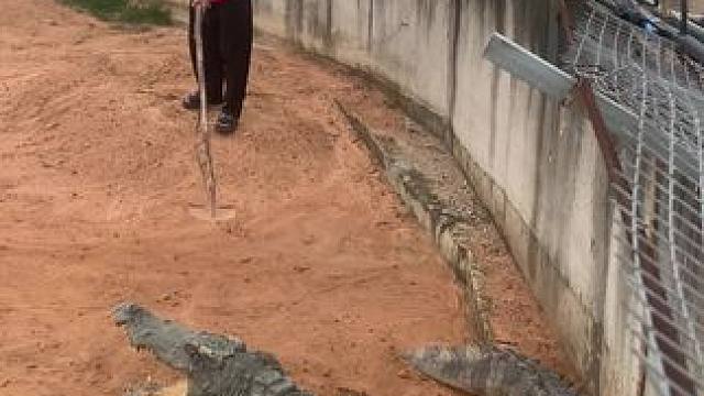 新来的小子又菜又爱玩……