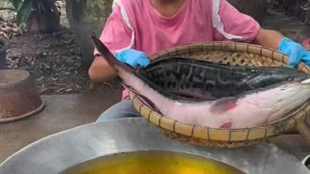 炸鱼 #乡下生活 #东南亚风情 #抓鱼高手