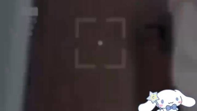 不许动 你被逮捕了