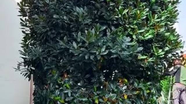 我发布了一个新视频，快来围观吧！