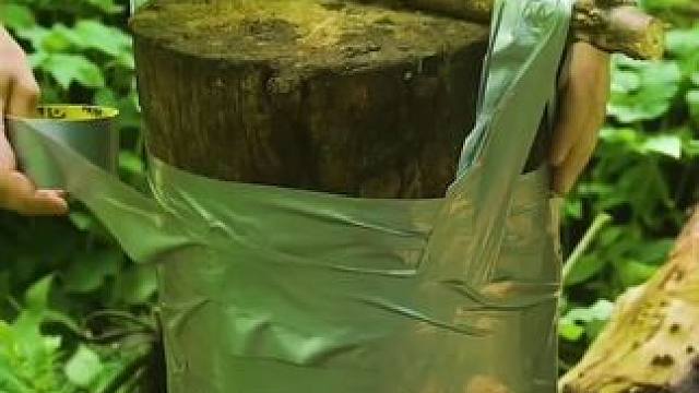 户外自己做水桶 #露营报告 #露营技巧报告