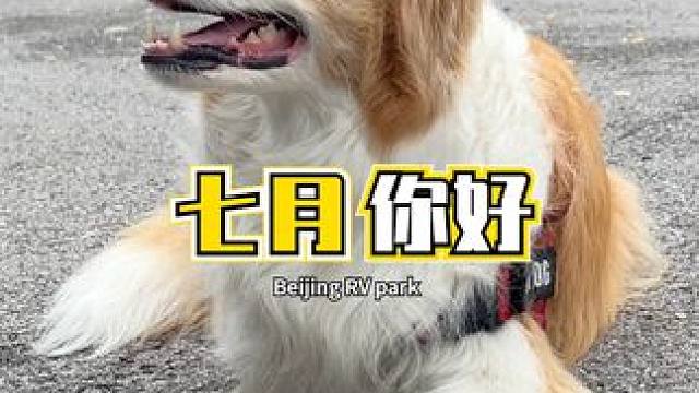 七月你好 #房车 #房车生活 #房车旅行 #露营 #户外露营