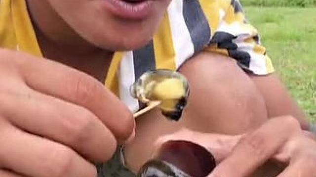 吃螺。#农村生活 #农村美食 #我的乡村生活 #我在乡村做美食