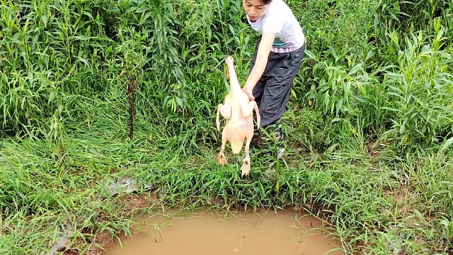 老古井里面抓鱼