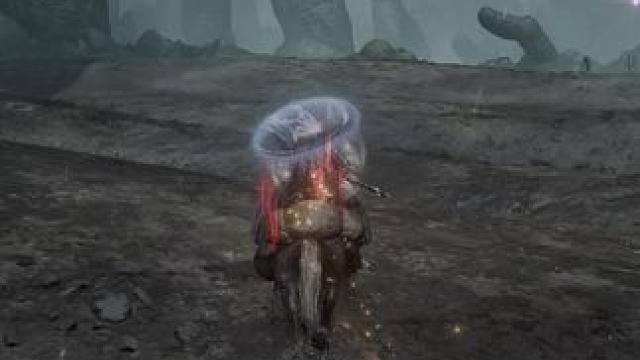 幸好我有保镖 #艾尔登法环 #黄金树之影