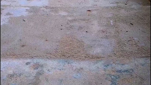 楼梯滚瓶子爆破解压时刻