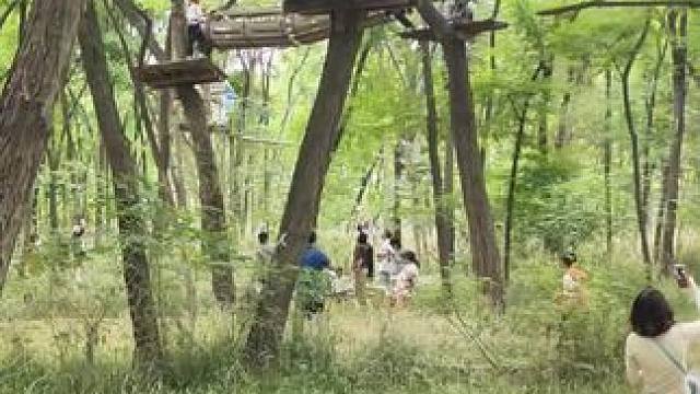 #丛林穿越 #户外拓展游戏 #周边游 #亲子户外活动