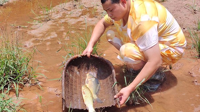 户外抓鱼