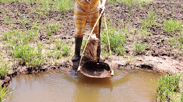 户外抓鱼