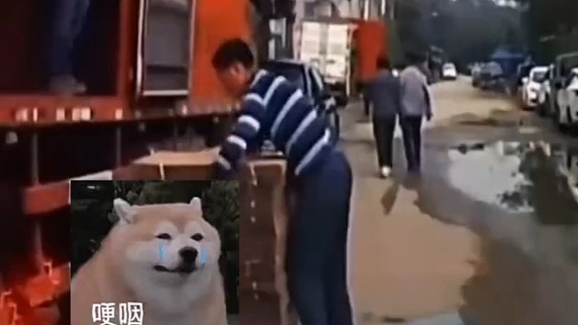 把人家砸了还不下来看看