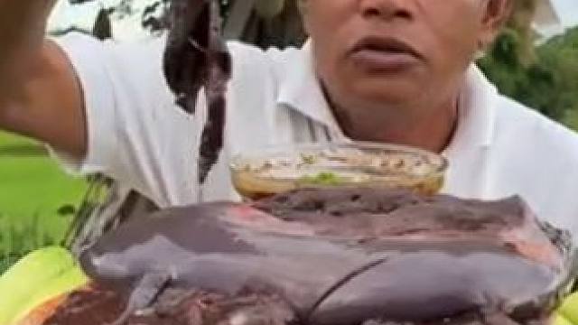 老丈人独挑大梁，牛肝刺身根本不够造的，蔬菜也就是摆设 #户外美食 #咀嚼声 #咀嚼音解压 #美食分享