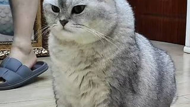 搬家后第一次回房睡，折腾了一宿，天亮了才睡会儿 