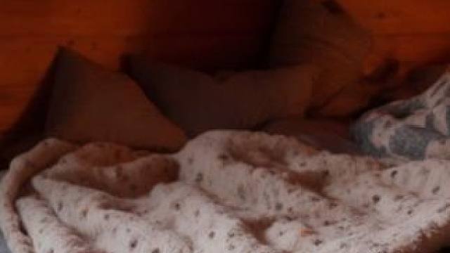 暴风雪天，窝在林场的舒适小屋，窗外风雪吼叫，放松睡眠的氛围 #白噪音 #助眠声音 #睡眠音乐 #助眠