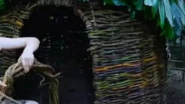 #大山深处自然美山清水秀好风光 #丛林求生纪录片 #野外生活纪录片 #感受大自然的气息和美景 #荒野