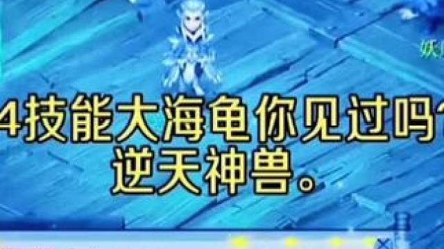 14技能大海龟你见过吗#梦幻西游电脑版 #梦幻西游创梦计划 #梦幻西游