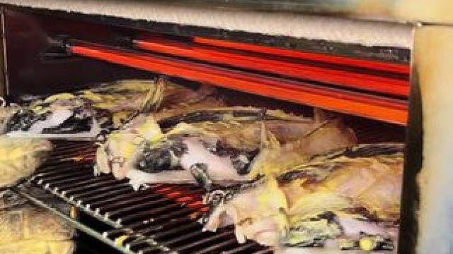 千万别去！千万别去吃这家脆皮烤鱼！ #鱼神脆皮烤鱼#西安夜宵#宵夜美食推荐