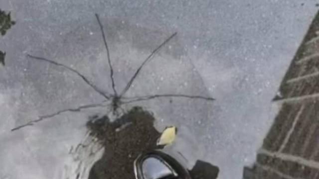 如果情绪有天气 那我困在雨天里