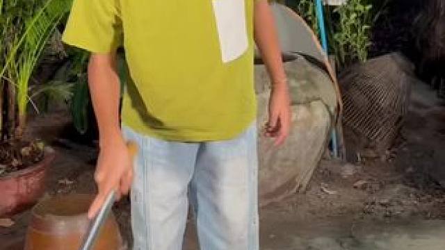 东南亚热带️美食 #农村美食 #农村生活 #我在乡村做美食 #我的乡村生活