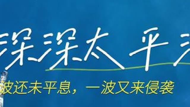 太平洋上追海豚#海洋生物 #水下拍摄 #原创作品