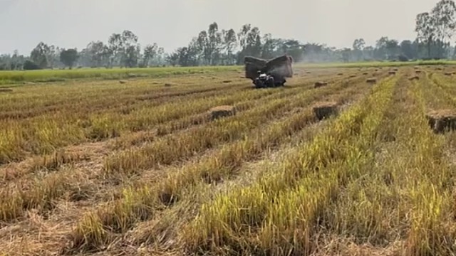 老司机[赞]新手上不去[龇牙]