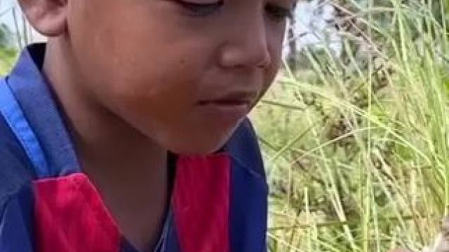 东南亚热带美食 #农村生活 #我在乡村做美食 #我的乡村生活 #原始美味