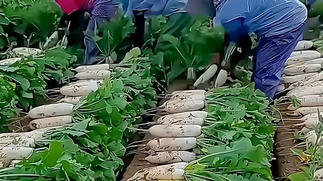 哇塞，这么快！[赞]