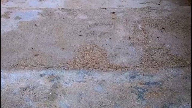 楼梯滚瓶子爆破解压时刻