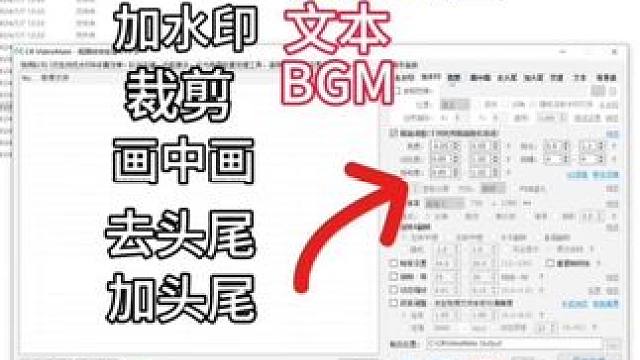 视频批量去水印混剪去重小工具 #视频去重 #视频混剪 #视频剪辑 #批量剪辑视频 #教程