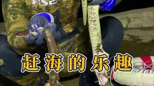 有一种快乐叫做潜水抓海鲜，这也是男人内心最初的童真，你们认同吗？#赶海 #户外赶海抓海鲜 #我的乡村