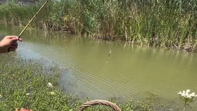 出来钓鱼了#钓鱼的乐趣只有钓鱼人懂 #爱生活爱钓鱼