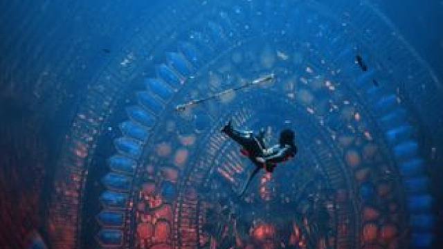 我们这一路走来真的不容易 #黑神话悟空 #齐天大圣 #第九艺术