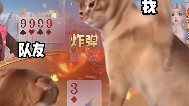 报单时队友扔炸弹加倍数？   