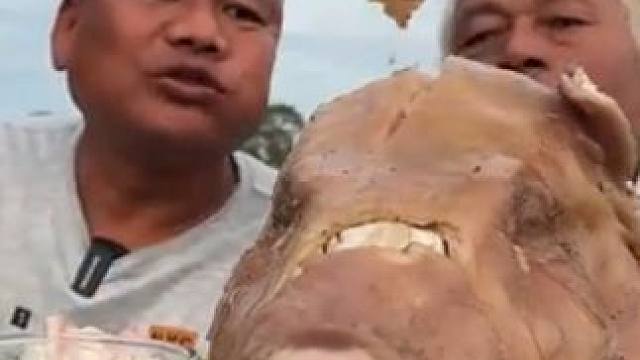 清炖猪头，满口的胶原蛋白，老丈人今天免费美容 #咀嚼音 #咀嚼音解压 #美食分享 #太好吃了 #我要