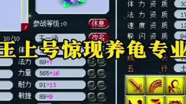 #梦幻西游电脑版 #梦幻西游创梦计划 #梦幻西游 老王上号惊现养龟专业户