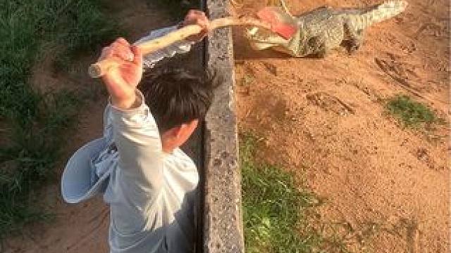 新来的小子又菜又爱玩，看这阵势我看又需要换人了，还有没有想上位的……